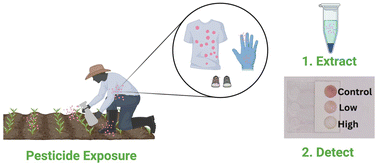 Graphical abstract: Capillary-flow driven microfluidic sensor based on tyrosinase for fast user-friendly assessment of pesticide exposures