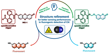 Graphical abstract: Fluorogenic detection of cyanide ions in pure aqueous media through an intramolecular crossed-benzoin reaction: limitations unveiled and possible solutions