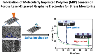 Graphical abstract: Facile and scalable fabrication of molecularly imprinted polymer (MIP) sensors on poriferous laser-engraved graphene electrodes for stress monitoring
