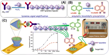 Graphical abstract: Tyramine–enzyme conjugate repeats for an interdigitated capacitance immunosensing array in the detection of neuroblastoma biomarker neuron-specific enolase
