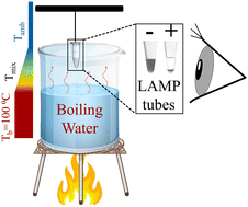 Graphical abstract: A steam-mediated isothermal amplification and flocculation-based detection platform for electricity-free point of care diagnostics