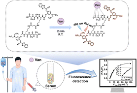 Graphical abstract: Rapid and sensitive determination of vancomycin using an AIE-active fluorescent probe for clinical monitoring