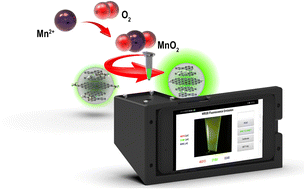 Graphical abstract: A portable fluorescence detection device based on a smartphone employing carbon nanodots for Mn2+ sensing