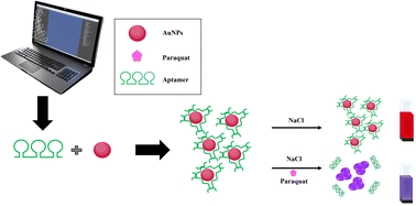 Graphical abstract: A new colorimetric aptasensor for paraquat detection based on the designed aptamer with multiple paraquat binding sites in combination with gold nanoparticles