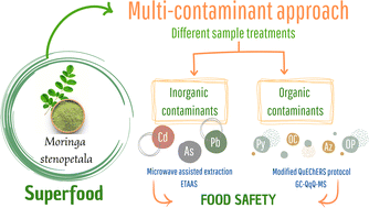 Graphical abstract: Holistic food safety evaluation of herbs: methods for the determination of organic and inorganic trace contaminants in Moringa stenopetala as a case study