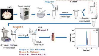 Graphical abstract: A rapid and sensitive ultra-performance liquid chromatography-tandem mass spectrometry method for determination of phytohormones in the medicinal plant saffron