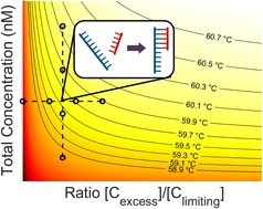 Graphical abstract: Implementing l-DNA analogs as mirrors of PCR reactant hybridization state: theoretical and practical guidelines for PCR cycle control