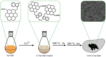 Graphical abstract: CoO/Co-graphene quantum dots as an oxidative mimetic nanozyme for the colorimetric detection of l-cysteine