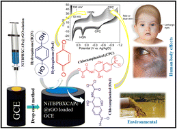 Graphical abstract: Novel nickel(ii) phthalocyanine/reduced graphene oxide: an electrochemical sensing platform for analysis of hydroquinone and chloramphenicol in environmental samples