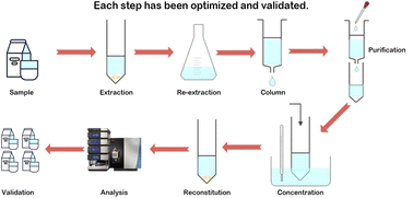 Graphical abstract: Solid phase extraction technology combined with UPLC-MS/MS: a method for detecting 20 β-lactamase antibiotics traces in goat's milk