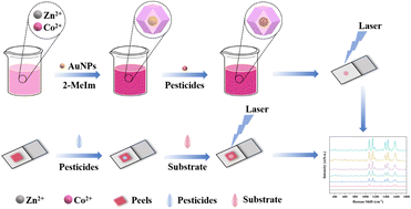 Graphical abstract: A core–shell structured AuNPs@ZnCo-MOF SERS substrate for sensitive and selective detection of thiram