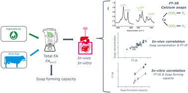 Graphical abstract: Using FT-IR as a fast method to measure fatty acid soaps in in vivo and in vitro digests