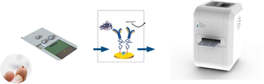 Graphical abstract: PoCOsteo: generic novel platform for bone turnover marker measurement & monitoring