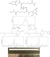 Graphical abstract: Monolithic stationary phases prepared via cyclic anhydride ring-opening polymerization as tunable platforms for chromatographic applications