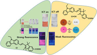 Graphical abstract: A reaction based carbazole–indolium conjugate probe for the selective detection of environmentally toxic ions