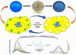 Graphical abstract: A novel N-CNDs/PAni modified molecular imprinted polymer for ultraselective and sensitive detection of ciprofloxacin in lentic ecosystems: a dual responsive optical sensor