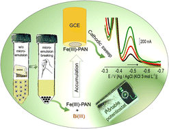 Graphical abstract: A simple, fast and inexpensive approach to quantify low concentrations of iron in biodiesel by voltammetry after extraction induced by microemulsion breaking