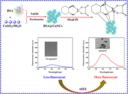 Graphical abstract: Enhanced fluorescent detection of oxaliplatin via BSA@copper nanoclusters: a targeted approach for cancer drug monitoring