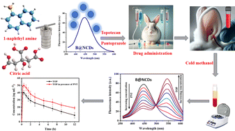 Graphical abstract: Dual modulation of blue-fluorescent carbon dots for simultaneous detection of topotecan and pantoprazole