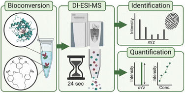 Graphical abstract: Determining monolignol oxifunctionalization by direct infusion electrospray ionization tandem mass spectrometry