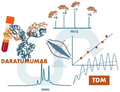 Graphical abstract: Quantitative assessment of daratumumab in serum via intact light chain measurement using liquid chromatography-high resolution mass spectrometry: a method suitable for therapeutic drug monitoring