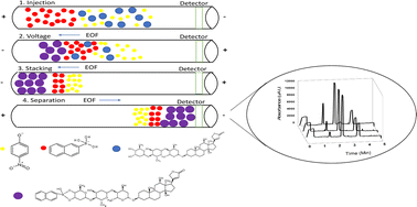 Graphical abstract: Evaluation of digoxin-boronate ester formation through in-capillary derivatisation-large volume sample stacking-capillary zone electrophoresis