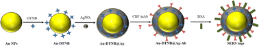 Graphical abstract: Detection of carbofuran in fruits and vegetables by Raman spectroscopy combined with immunochromatography