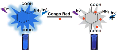 Graphical abstract: Simple fluorescence “turn-off” assay for Congo red using commercial 2-aminophthalic acid