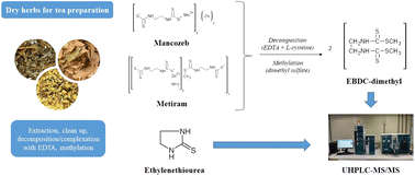 Graphical abstract: Determination of ethylene-bis-dithiocarbamates and their degradation product ethylenethiourea in dry herbs by UHPLC-MS/MS