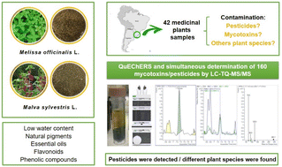 Graphical abstract: Comprehensive assessment of clean-up strategies for optimizing an analytical multi-method to determine pesticides and mycotoxins in Brazilian medicinal herbs using QuEChERS-LC-TQ-MS/MS