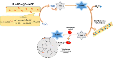 Graphical abstract: A highly effective peroxidase-mimic nanozyme of S, N-carbon dot-decorated cerium organic framework-based colorimetric detection of Hg2+ ion and thiophanate methyl