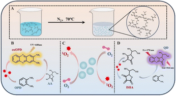 Graphical abstract: The preparation and dual-mode detection of ascorbic acid based on poly(N-isopropylacrylamide) nanogel with oxidase-like activity