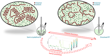 Graphical abstract: In situ dissolved polypropylene prediction by Raman and ATR-IR spectroscopy for its recycling