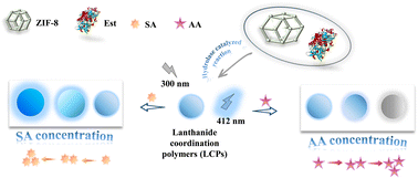 Graphical abstract: Selective fluorescence detection of acetylsalicylic acid, succinic acid and ascorbic acid based on a responsive lanthanide metal fluorescent coordination polymer