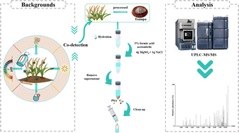 Graphical abstract: Simultaneous determination of 78 pesticide residues and 16 mycotoxins in tsampa by an improved QuEChERS method coupled with ultra performance liquid chromatography-tandem mass spectrometry