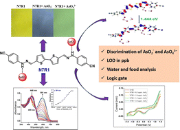 Graphical abstract: Colorimetric differentiation of arsenite and arsenate anions using a bithiophene sensor with two binding sites: DFT studies and application in food and water samples