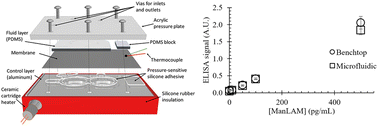 Graphical abstract: Microfluidic platform for the enzymatic pretreatment of human serum for the detection of the tuberculosis biomarker mannose-capped lipoarabinomannan