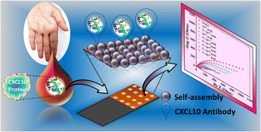 Graphical abstract: Early diagnosis of autoimmune diseases through electrochemical biosensing using a modified plastic chip electrode