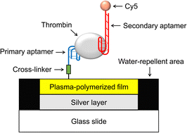 Graphical abstract: Characterization of plasma polymerized acetonitrile film for fluorescence enhancement and its application to aptamer-based sandwich assay