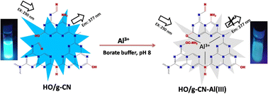 Graphical abstract: Chemically modified graphitic carbon nitride nanosheets for the selective turn-off fluorescence detection of Al(iii) ions in crabs (Brachyura)