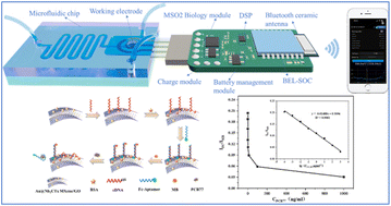 Graphical abstract: A microfluidic ratiometric electrochemical aptasensor for highly sensitive and selective detection of 3,3′,4,4′-tetrachlorobiphenyl