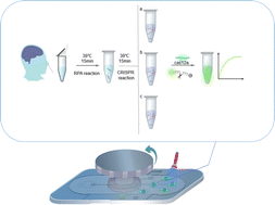 Graphical abstract: Detection and identification of SARS-CoV-2 and influenza a based on microfluidic technology