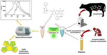 Graphical abstract: A green, fluorescent probe employing erythrosine-B for tracing the accidental administration of levamisole in milk and plasma samples