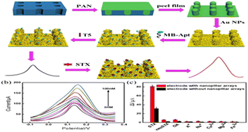 Graphical abstract: Nanopillar array-based electrochemical aptamer sensor for STX sensitivity detection