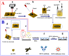 Graphical abstract: A label-free H1N1 influenza virus immunosensor based on an N-LIG/Au laser induced graphene microelectrode