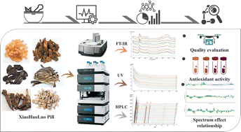 Graphical abstract: A rapid evaluation method for the quality consistency assessment and spectrum–effect relationship study of Xiaohuoluo Pills developed based on combined spectral and chromatography technology