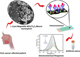 Graphical abstract: l-Cysteine functionalized magnetite nanoparticle adorned Ti3C2-MXene nanohybrid based screen printed immunosensor for oral cancer biomarker detection