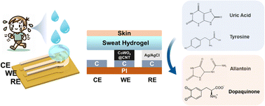 Graphical abstract: Simultaneous detection of tyrosine and uric acid in sweat using CoWO4@CNT with a hydrogel modified electrochemical biosensor