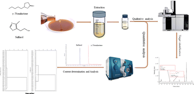 Graphical abstract: Two flavors in adulterated sesame oil: discovery, confirmation, and content regularity study