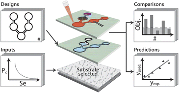 Graphical abstract: A numerical platform for predicting the performance of paper-based analytical devices